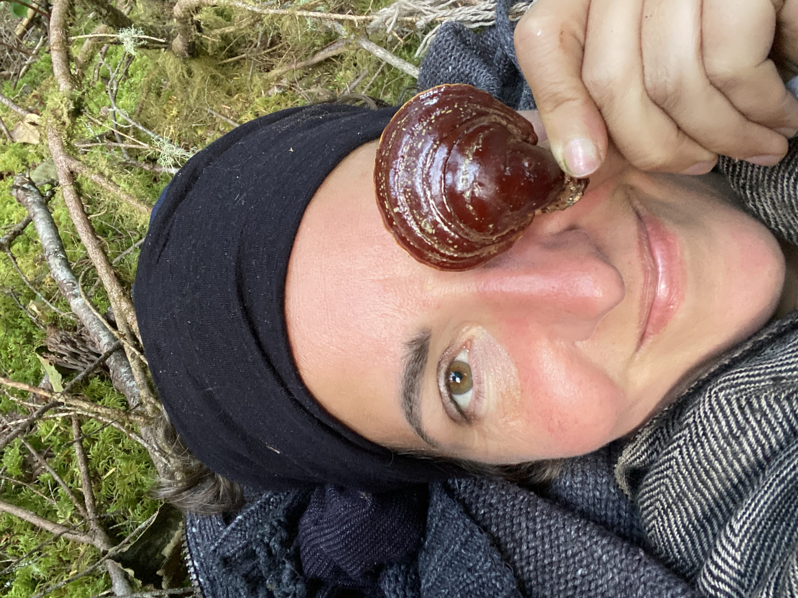 Tipperary Wild Mushroom Forest Ramble at Joe Keane's Friday 30 October 2026