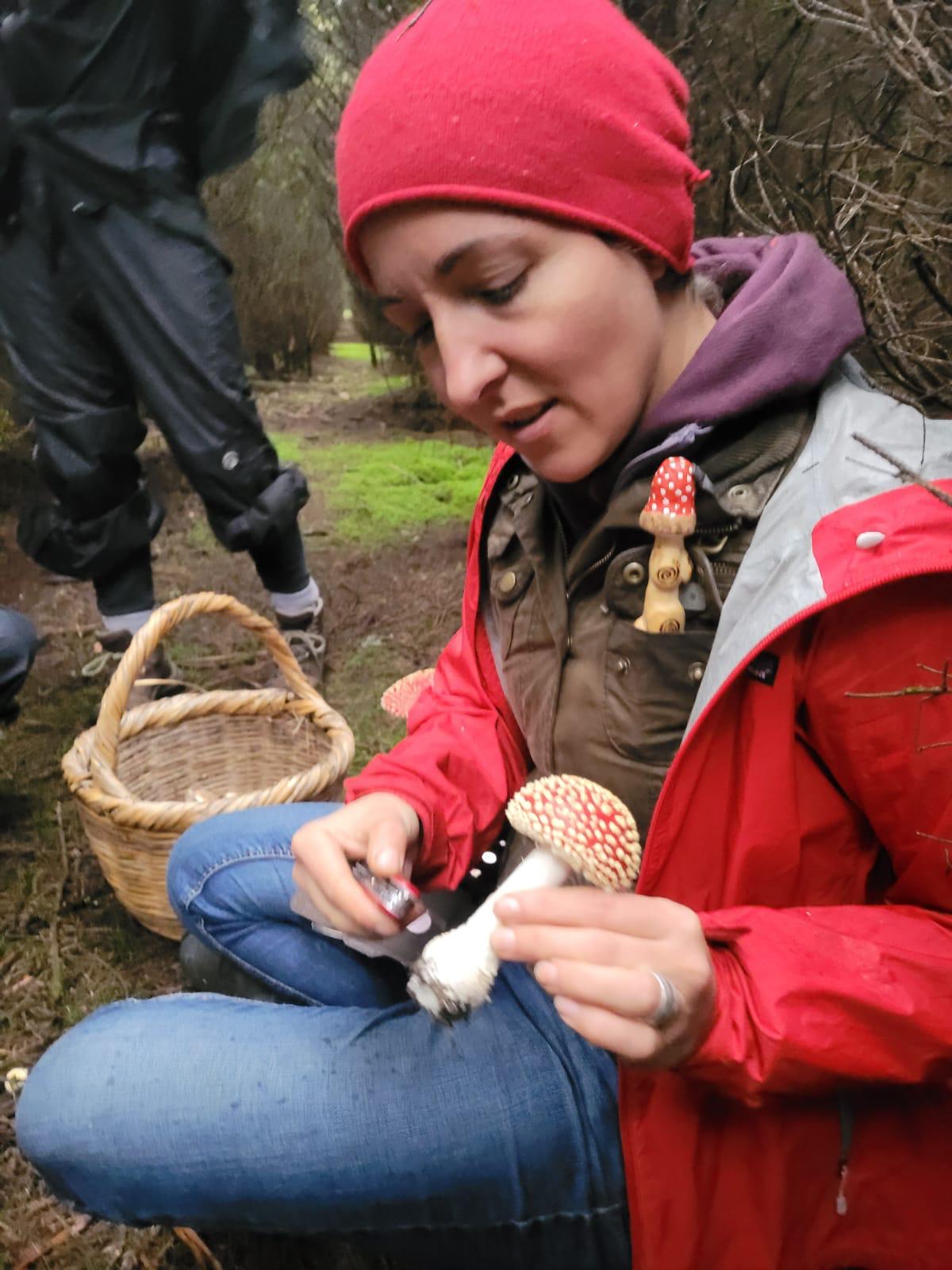 FUNGI & FIRE: Autumnal MUSHROOM Foraging & Woodland SAUNA 4 October 2026