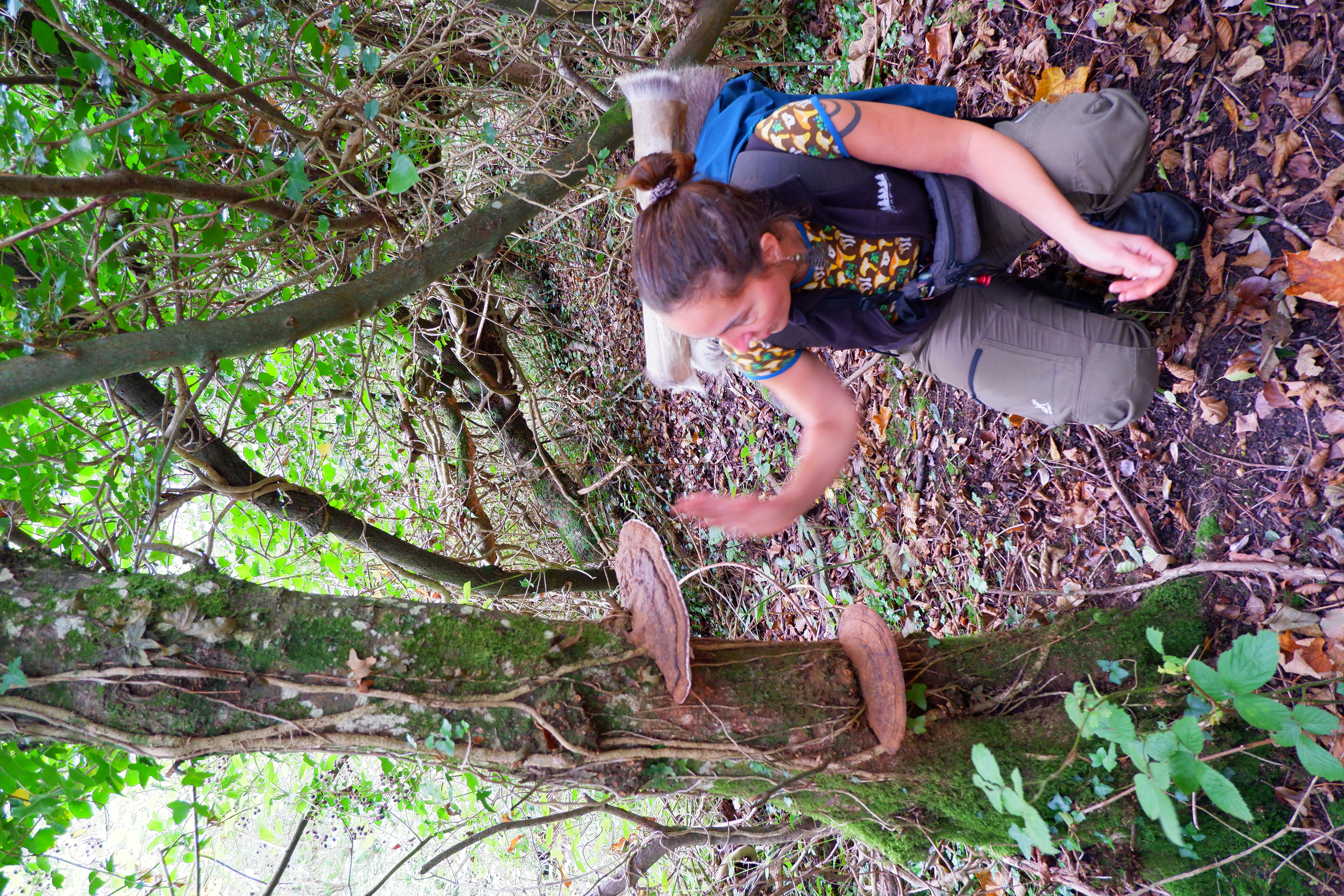 FUNGI & FIRE: Autumnal MUSHROOM Foraging & Woodland SAUNA 25 October 2026