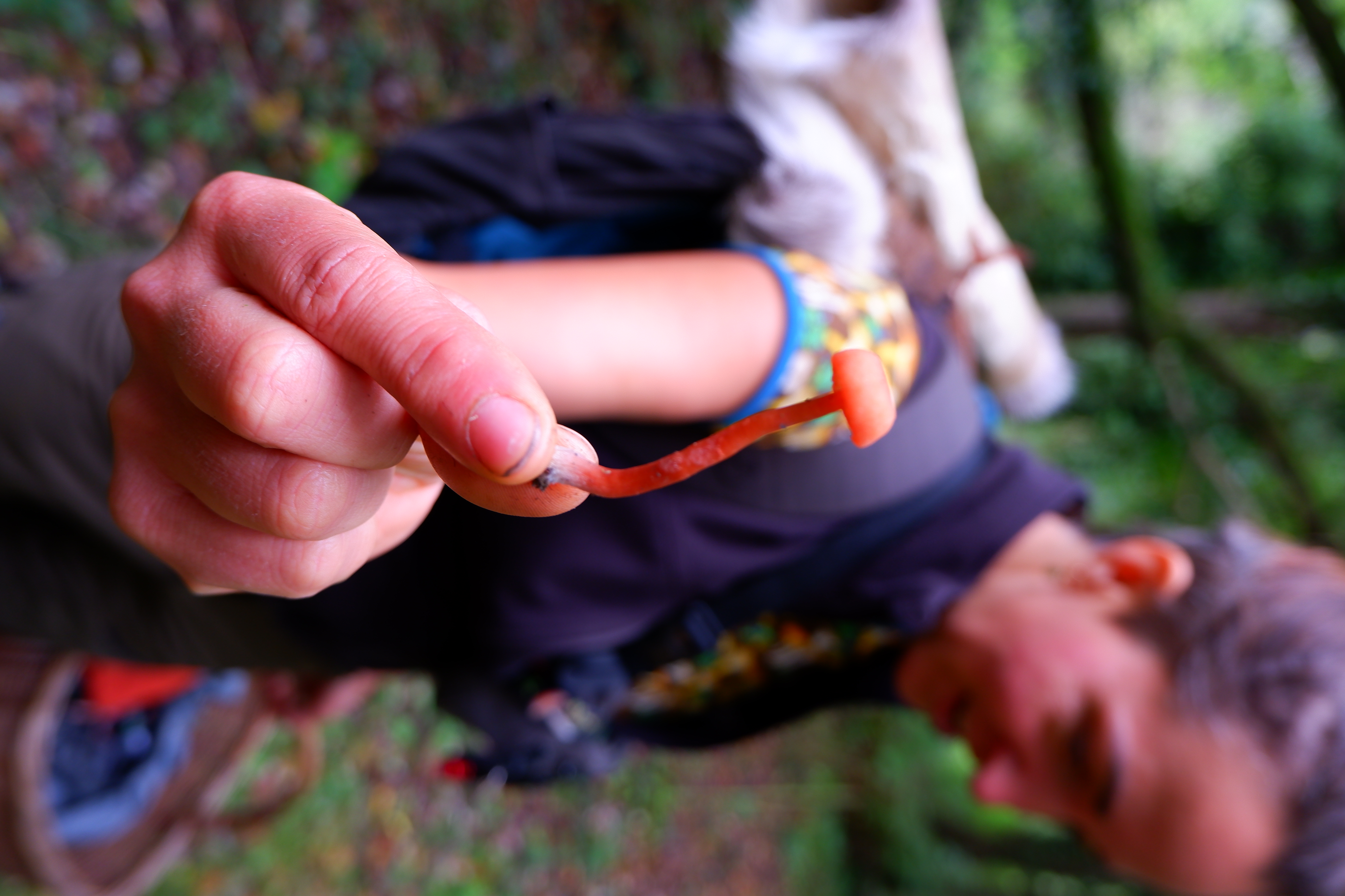 FUNGI & FIRE: Autumnal MUSHROOM Foraging & Woodland SAUNA 18 October 2026