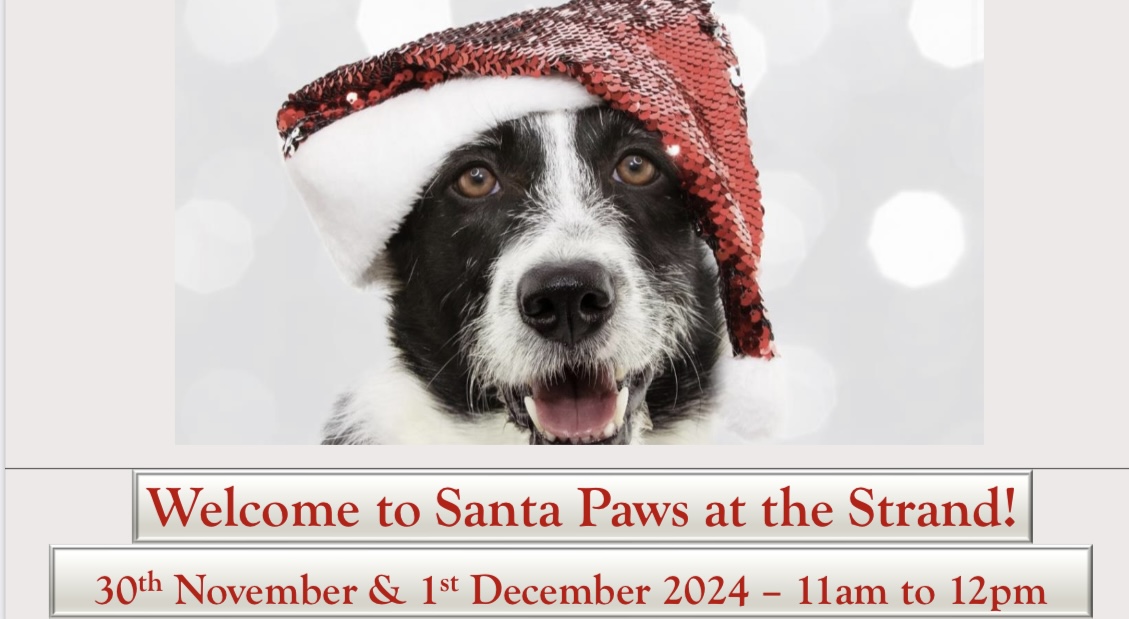 Santa Paws At The Strand 2024